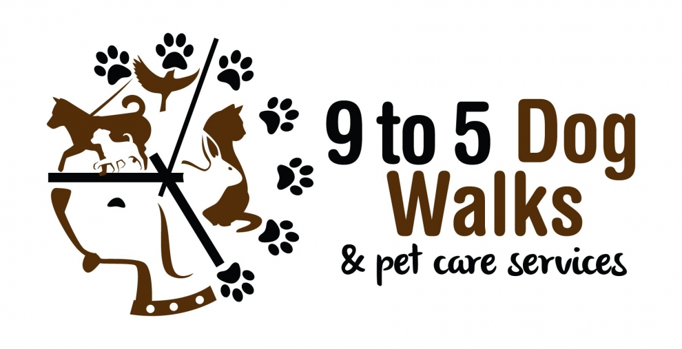 gallery/9 to 5 dog walks_final_300